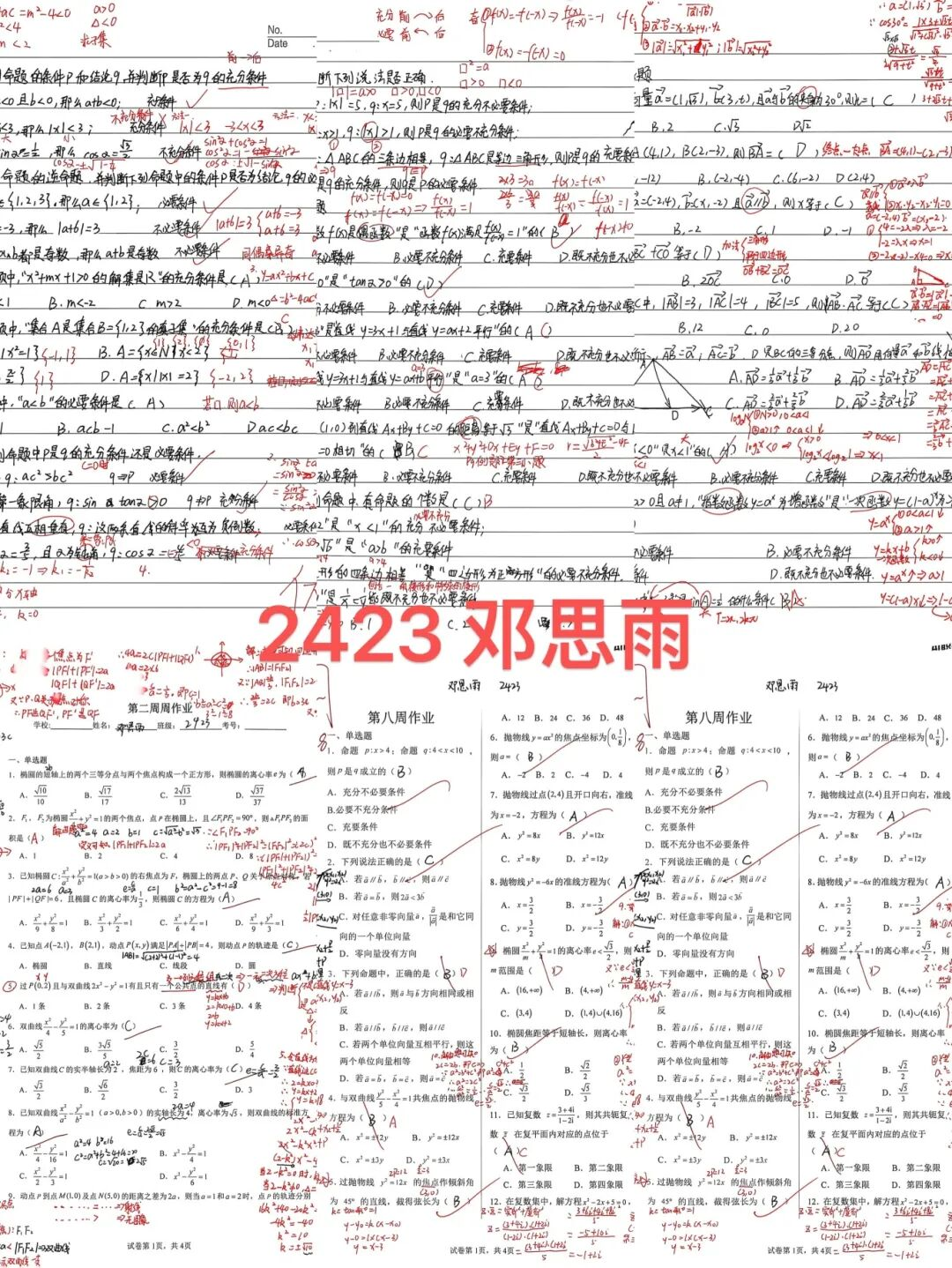 图片48.png